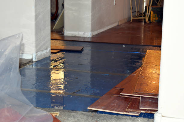 Professional Sewage Cleanup technician working in Newcastle, ME